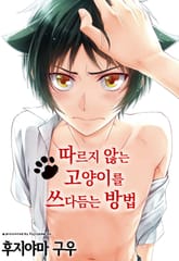 [크림툰] 따르지 않는 고양이를 쓰다듬는 방법 표지 이미지