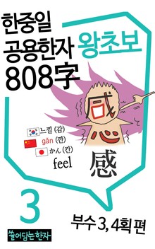 왕초보 한중일공용한자 808자 3권