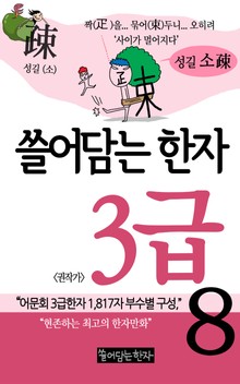 쓸어담는한자 3급 8권