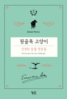 뒷골목 고양이