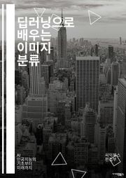 딥러닝으로 배우는 이미지 분류 - 딥러닝, 이미지 분류, CNN, 신경망, 데이터 전처리, 컴퓨터 비전, 특징 추출, 텐서플로우, 파이토치, 전이 학습, 과적합, 활성화 함수, 정규화, 데이터 증강, 모델 평가, 하이퍼파라미터,
