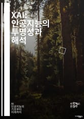 XAI: 인공지능의 투명성과 해석 - 설명 가능성, 인공지능, 투명성, 해석력, 머신러닝, 딥러닝, 알고리즘, 데이터, 모델, 신뢰성, 윤리, 편향, 사용자 경험, 시각화, 프로세스, 규제, 책임, 검증, 해석 기법, 설명 기법, 표지 이미지