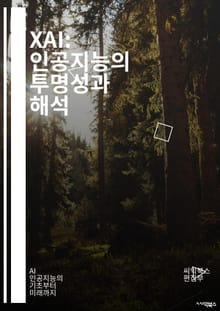 XAI: 인공지능의 투명성과 해석 - 설명 가능성, 인공지능, 투명성, 해석력, 머신러닝, 딥러닝, 알고리즘, 데이터, 모델, 신뢰성, 윤리, 편향, 사용자 경험, 시각화, 프로세스, 규제, 책임, 검증, 해석 기법, 설명 기법,
