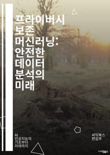 프라이버시 보존 머신러닝: 안전한 데이터 분석의 미래 - 프라이버시, 머신러닝, 데이터 보호, 암호화, 연합 학습, 차등 프라이버시, 보안, AI 윤리, 데이터 공유, 개인 정보, 익명화, 데이터 마이닝, 사이버 보안, 법적 규제