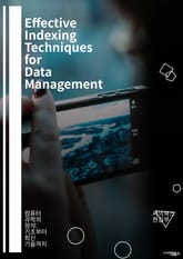 Effective Indexing Techniques for Data Management - 인덱스, 데이터베이스, 검색, 최적화, 쿼리 성능, 자료구조, 알고리즘, 데이터 분석, SQL, NoSQL, 메모리 관리, 트리 구조,  표지 이미지