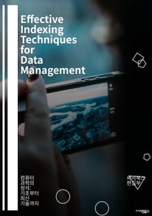 Effective Indexing Techniques for Data Management - 인덱스, 데이터베이스, 검색, 최적화, 쿼리 성능, 자료구조, 알고리즘, 데이터 분석, SQL, NoSQL, 메모리 관리, 트리 구조, 