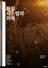 파일 시스템의 이해 - 파일 시스템, 데이터 저장, 디스크 관리, 블록 구조, 파일 관리, 메타데이터, 접근 속도, 파일 포맷, 디렉토리 구조, 캐시, RAID, 백업, 복구, NTFS, FAT32, ext4, 성능 최적화, 데이 표지 이미지