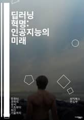 딥러닝 혁명: 인공지능의 미래 - 신경망, 머신러닝, 데이터셋, 알고리즘, 오버피팅, 활성화 함수, CNN, RNN, 강화학습, 전이학습, 자연어처리, 이미지 인식, 데이터 전처리, 하이퍼파라미터, GPU, TensorFlow,  표지 이미지