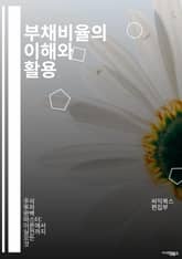 부채비율의 이해와 활용 - 재무제표, 기업재무, 부채, 자본, 비율분석, 경영전략, 재무건전성, 투자분석, 리스크관리, 자산관리, 수익성, 재무비율, 기업가치, 금융분석, 자본구조, 금융위험, 부채관리, 투자결정, 회계기초, 재무 표지 이미지