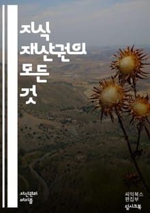 지식 재산권 입문 - 특허, 저작권, 상표, 디자인권, 지식재산, 보호, 법률, 침해, 소송, 라이센스, 국제 조약, 산업재산권, 창작, 권리, 등록, 상용화, 연구개발, 기술이전, 기업 전략, 보호 전략, 분쟁 해결, 창의성, 