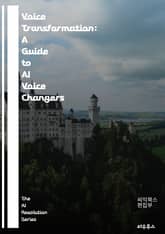 Voice Transformation: A Guide to AI Voice Changers - AI, voice changers, audio processing, speech synthesis, digital effects, vo 표지 이미지
