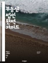 부동산 법인 완벽 가이드 - 법인 설립, 부동산 투자, 세무 전략, 법률 규제, 자산 관리, 임대사업, 법인세, 재무 계획, 계약서 작성, 상법, 부동산 거래, 리스크 관리, 자본 조달, 소유 구조, 부동산 개발, 주택 정책, 시 표지 이미지