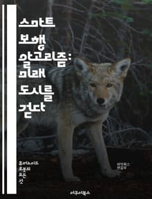 스마트 보행 알고리즘: 미래 도시를 걷다 - 보행 알고리즘, 스마트 시티, 이동성, 경로 최적화, 데이터 분석, 인공지능, 로봇 공학, 사용자 경험, 안전성, 기계 학습, 센서 기술, 실시간 정보, 환경 영향, 보행자 안전, 도시
