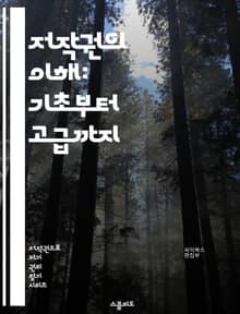 저작권의 이해: 기초부터 고급까지 - 저작권, 저작물, 보호기간, 창작, 등록, 침해, 라이센스, 공정사용, 법적조치, 국제조약, 저작권법, 권리자, 복제권, 배포권, 공연권, 전송권, 저작권료, 저작인격권, 디지털, 특허, 상표