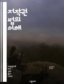 저작권 법의 이해 - 저작권, 지적 재산권, 라이센스, 공정 사용, 저작권 등록, 저작권 침해, 아카데미 저작권, 디지털 저작권, 국제 저작권, 창작물 보호, 저작권 소송, 저작권 이론, 음악 저작권, 소프트웨어 저작권, 디자인 