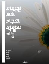 저작권 보호 기구의 역할과 기능 - 저작권, 보호 기구, 지식재산권, 법률, 저작권 등록, 창작물, 국제협약, 저작권 침해, 판례, 공정 사용, 저작권자, 라이센스, 저작권 관리, 디지털 저작권, 저작권 교육, 저작권 보호 전략, 표지 이미지