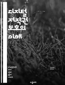 디지털 저작권 보호의 이해 - 저작권, 디지털 콘텐츠, 보호 기술, DRM, 불법 복제, 라이선스, 저작권 침해, 지적 재산권, 온라인 유통, 법적 보호, 기술적 조치, 사용자 인증, 콘텐츠 관리, 비즈니스 모델, 저작물, 크리에