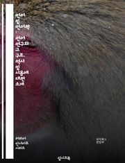 언어 및 언어학 : 언어 연구와 그 구조, 역사 및 사용에 대한 소개