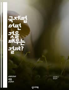국제법 - 어떤 것을 배우는 걸까?