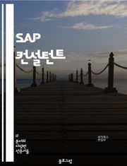 SAP 컨설턴트 - SAP ERP, SAP S/4HANA, SAP 모듈 (MM, SD, FI, CO 등), SAP ABAP, SAP 기능 모듈화, SAP 데이터 마이그레이션, SAP 프로젝트 관리, SAP 통합, SAP 보안 및 