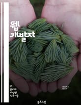 웹 개발자 - HTML, CSS, JavaScript, PHP, Python, Ruby, SQL, API, Responsive design, MVC 표지 이미지