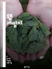 웹 개발자 - HTML, CSS, JavaScript, PHP, Python, Ruby, SQL, API, Responsive design, MVC