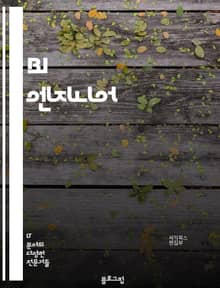 BI 엔지니어 - 데이터 분석, 데이터 시각화, 데이터 웨어하우스, 데이터 모델링, 데이터 마이닝, 데이터 통합, 데이터 품질 관리, 데이터 추출 및 변환, 데이터베이스 관리, 비즈니스 인텔리전스