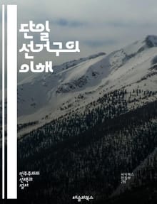 단일 선거구의 이해 - 선거구, 단일, 대표성, 민주주의, 정치, 투표, 지역구, 후보, 유권자, 의회, 선출, 정당, 비례대표, 선거제도, 시스템, 정책, 지방정부, 선거법, 참여, 경쟁, 지리적, 표심, 정체성, 선거관리, 투