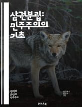 삼권분립: 민주주의의 기초 - 입법부, 행정부, 사법부, 권력 분산, 헌법, 정치 체제, 권력 견제, 민주주의, 법의 지배, 권리 보호, 정부 기능, 국가 구조, 시민 참여, 정치적 안정, 권력 남용, 법원, 선거 제도, 정치 철 표지 이미지