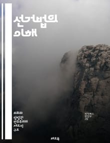 선거법의 이해 - 선거, 법률, 투표권, 선거운동, 후보자, 유권자, 정치자금, 선거관리위원회, 선거제도, 공직선거, 지방선거, 대선, 비례대표제, 투표소, 선거절차, 부정선거, 선거정보, 선거연도, 선거구, 투표율, 선거참여, 