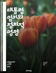 대통령 임기와 정치적 영향 - 대통령, 임기, 정치, 행정부, 민주주의, 선거, 권력, 헌법, 정책, 정치적 안정, 리더십, 변화, 대외관계, 사회적 변화, 시민 참여, 정당, 책임, 권한, 투표, 여론, 정부 운영, 국정, 이념