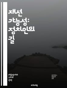 재선 가능성: 정치인의 길 - 재선, 정치, 선거, 후보, 법률, 헌법, 제한, 임기, 권력, 민주주의, 공직자, 시민, 정책, 투표, 대의제, 정치적 전략, 여론, 책임, 경선, 정당, 선거법, 유권자, 정치적 환경, 캠페인, 