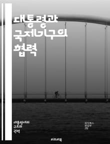 대통령과 국제기구의 협력 - 외교, 국제관계, 대통령, 국제기구, 유엔, 세계은행, 국제협약, 인권, 개발, 안보, 경제, 외교정책, 다자간 협력, 국제법, 외교관, 글로벌 이슈, 시민사회, 지속가능성, 대화, 갈등 해결, 비정부