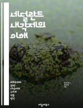 네덜란드 내각제의 이해 - 내각제, 네덜란드, 정치체제, 의회, 총리, 하원, 상원, 정당, 선거, 민주주의, 정부, 권력 분산, 정치적 안정, 다당제, 정책 결정, 시민 참여, 정치적 책임, 입법 과정, 정부 성립, 정치 문화, 표지 이미지