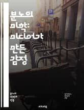 분노의 미학: 미디어가 만든 감정 - 미디어, 분노, 감정, 심리학, 사회적 영향, 대중문화, 뉴스, 소셜미디어, 폭력, 정치적 분열, 인식, 여론, 커뮤니케이션, 스트레스, 심리적 반응, 정보 과부하, 감정 관리, 심리적 조작, 표지 이미지