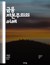 금융 자본주의의 이해 - 금융, 자본주의, 투자, 시장, 자산, 금융위기, 주식, 채권, 파생상품, 글로벌화, 경제, 정치, 불평등, 규제, 혁신, 통화정책, 리스크, 헤지펀드, 자산관리, 기업금융, 재무제표, 소득분배, 소비,  표지 이미지