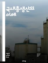 국내총생산의 이해 - GDP, 경제성장, 국민소득, 생산수치, 통계, 경제지표, 소비, 투자, 정부지출, 수출입, 경기순환, 산업구조, 물가상승, 인플레이션, 실업률, 경제정책, 금융시장, 국제무역, 경제개발, 통화정책, 외환시장 표지 이미지