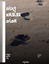 미적 태도의 이해 - 미적 경험, 감상, 미의식, 예술, 심미적 판단, 창조성, 감정, 문화, 비평, 해석, 감각, 표현, 상징, 아름다움, 주관성, 객관성, 예술교육, 심리학, 철학, 미학, 경험론, 감성, 예술작품, 가치, 정 표지 이미지