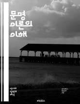 문명 이론의 이해 - 문명, 사회, 문화, 역사, 발전, 경제, 정치, 기술, 인류학, 철학, 지리, 종교, 가치관, 상호작용, 갈등, 혁신, 전통, 글로벌화, 환경, 패러다임, 다양성, 인간성, 공존, 미래 표지 이미지