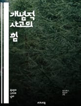 개념적 사고의 힘 - 창의성, 문제해결, 비판적 사고, 전략적 사고, 아이디어 발상, 시스템 사고, 디자인 사고, 패턴 인식, 사고의 유연성, 논리적 사고, 추상화, 지식 구조, 협업, 혁신, 시나리오 계획, 메타인지, 인지 심리 표지 이미지