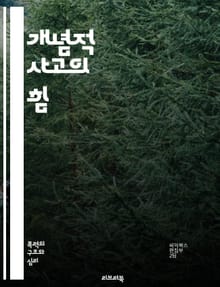 개념적 사고의 힘 - 창의성, 문제해결, 비판적 사고, 전략적 사고, 아이디어 발상, 시스템 사고, 디자인 사고, 패턴 인식, 사고의 유연성, 논리적 사고, 추상화, 지식 구조, 협업, 혁신, 시나리오 계획, 메타인지, 인지 심리