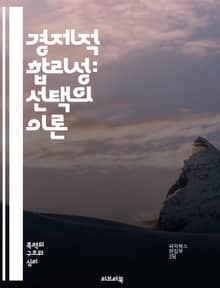 경제적 합리성: 선택의 이론 - 합리성, 경제학, 선택, 의사결정, 효용, 비용, 편익, 시장, 행동경제학, 정보, 리스크, 대안, 최적화, 자원배분, 심리학, 전략, 게임이론, 기회비용, 소비자행동, 생산성, 투자, 정책결정, 