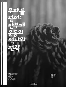 부패를 넘어: 반부패 운동의 역사와 전략 - 부패, 반부패, 운동, 역사, 전략, 투명성, 정부, 시민사회, 법률, 윤리, 감시, Accountability, 공정성, 국제기구, 정치, 경제, 참여, 교육, 인식, 캠페인, 사례,