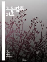 노동법의 기초 - 근로계약, 임금, 퇴직금, 근로시간, 휴가, 직장 내 괴롭힘, 노동조합, 고용주, 노동자, 법적 권리, 해고, 차별, 노동쟁의, 산업재해, 안전, 복지, 근로자 보호, 법률, 조정, 중재, 노동청, 노동위원회,  표지 이미지