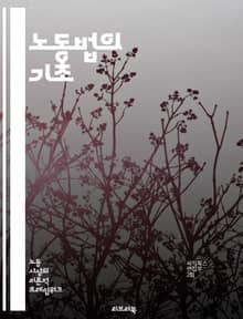 노동법의 기초 - 근로계약, 임금, 퇴직금, 근로시간, 휴가, 직장 내 괴롭힘, 노동조합, 고용주, 노동자, 법적 권리, 해고, 차별, 노동쟁의, 산업재해, 안전, 복지, 근로자 보호, 법률, 조정, 중재, 노동청, 노동위원회, 