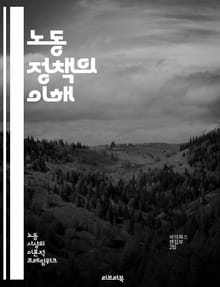 노동 정책의 이해 - 노동시장, 고용, 실업, 임금, 노동법, 사회 안전망, 노동조합, 비정규직, 근로 조건, 인권, 노동력, 정책 분석, 경제적 불평등, 고용 안정성, 직업 훈련, 산업 구조, 글로벌화, 재정 지원, 노동 참여,