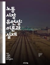노동 시장 유연성: 이론과 실제 - 유연성, 노동시장, 고용, 해고, 임금, 계약, 경제성장, 정책, 노동법, 인력관리, 직무설계, 경쟁력, 비정규직, 노동조합, 기술변화, 글로벌화, 재교육, 직업안정성, 사회안전망, 인적자본,  표지 이미지