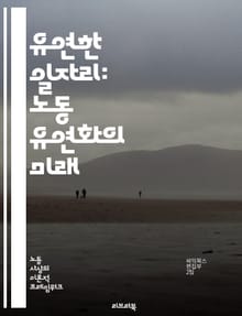유연한 일자리: 노동 유연화의 미래 - 노동 유연화, 재택근무, 일과 삶의 균형, 디지털 노마드, 원격 근무, 계약직, 프리랜서, 협업 툴, 직무 설계, 생산성, 기업 문화, 인재 관리, 성과 기반, 유연한 근무시간, 회의 문화,