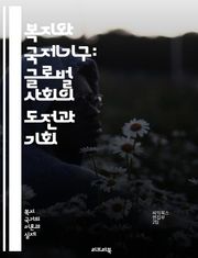 복지와 국제기구: 글로벌 사회의 도전과 기회 - 복지, 국제기구, 사회정책, 개발도상국, 인권, 빈곤, 지속가능성, 국제협력, NGO, 복지국가, 글로벌화, 사회적 안전망, 교육, 보건, 여성권리, 아동복지, 환경문제, 기후변화,