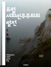 유럽 사회민주주의의 발전 - 사회민주주의, 유럽, 정치사, 복지국가, 노동운동, 민주주의, 경제정책, 평등, 사회정의, 환경정책, 공공서비스, 정책모델, 이념, 역사, 당파, 권리, 시민사회, 정치적 연합, 글로벌화, 복지제도,  표지 이미지
